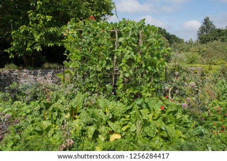 Potager or Kitchen Garden with a Mixture of Home Grown Organic Vegetables at Rosemoor in Rural Devon, England, UK