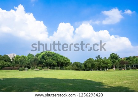 The city green lawn under the blue sky and white clouds