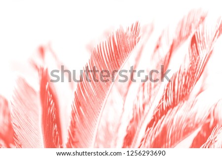 hemp palm tree leaves in living coral color