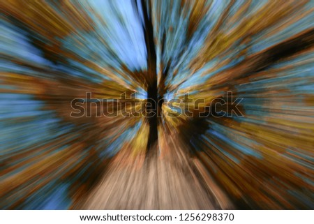 An abstract picture of blurry tree branches with yellowed autumn leaves against a bright blue sky