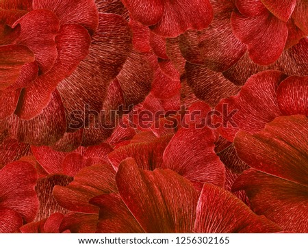 Floral  red  background. A bouquet of  red petals  flowers.  Close-up.  Flower composition. Nature.  