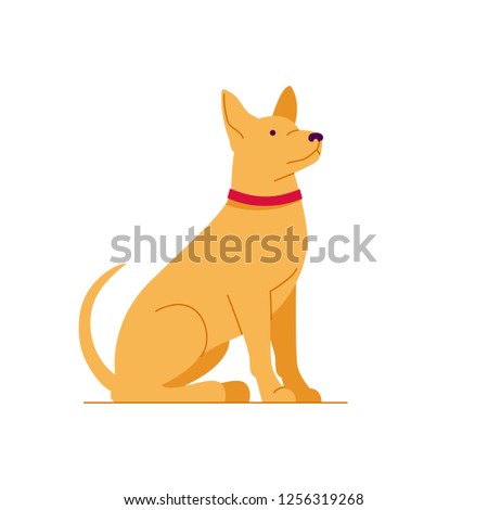 Dog on a white background. Color vector illustration.