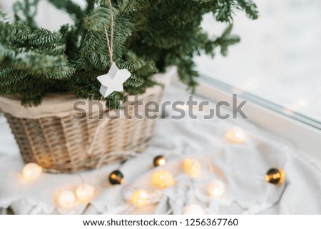 Spruce branches in basket. Rustic new year christmas decoration at home, scandinavian interior