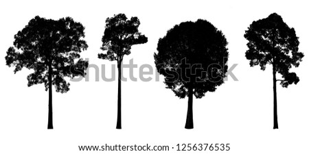 Set Silhouette of  trees. 