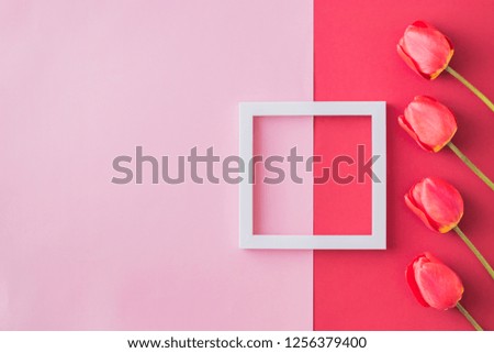 Valentines day composition with red tulips and white frame on a colored background. Flat lay, top view