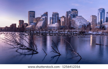 View of Calgary`s urban skyline at sunrise from a reconstructed urban wetland.  Keeping nature in the city is one of humanity`s great environmental challenges.