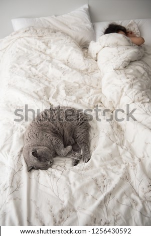 View of a modern bedroom interior where a girl sleeps tucked in a white duvet with a British Short Hair cat curled up comfortably next to her in a house in Edinburgh City, Scotland, UK