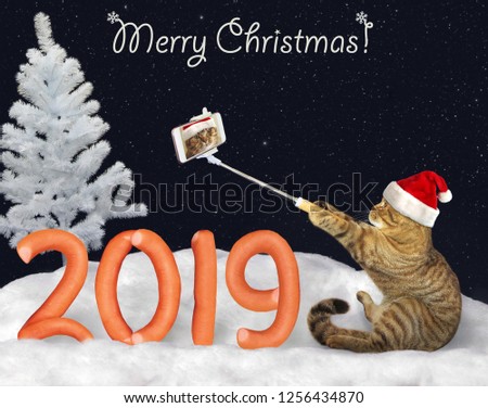 The cat in a Santa Claus hat makes selfie near the number 2019 made from sausage on the snow in the winter forest. Merry Christmas.