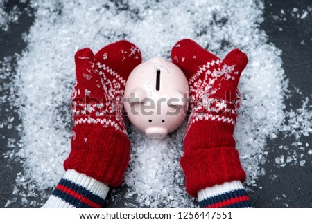 Picture of man's hands in red mittens holding piggy bank