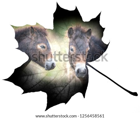 wild horses double exposure on a leaf