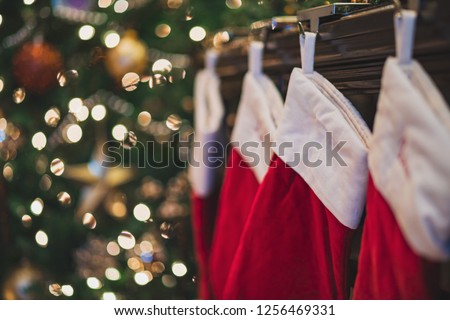 Christmas stockings hanging near tree on mantle