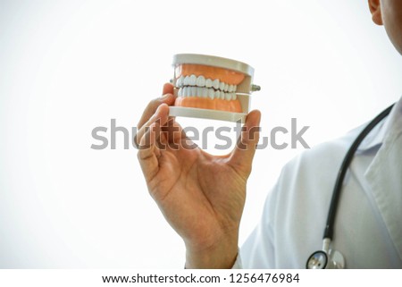 

Doctors use the right hand to hold the denture model show to study the structure of the teeth for treatment : Healthy white teeth model and dentist tools.