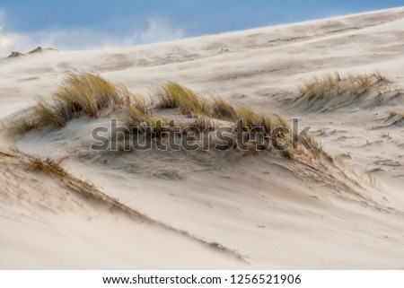 Stormy, windy weather. Sand is caught by a strong wind. Slowinski National Park, Czolpino, Leba, Poland.