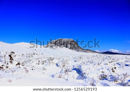 It is a beautiful snow scene of "Hallasan Mountain" in Jeju.