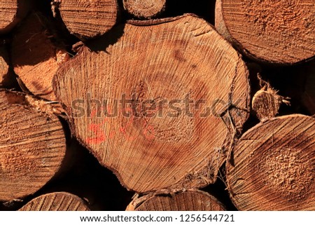 A Wall of stacked wood logs as background