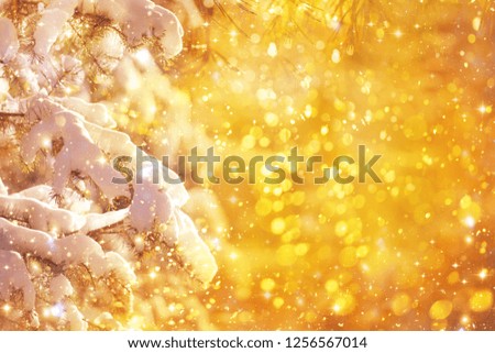 Border winter nature christmas background with frozen spruce, glitter lights, bokeh, snow. View through white frost pine branch. Happy new year. Text space. Elements of this Image Furnished by NASA