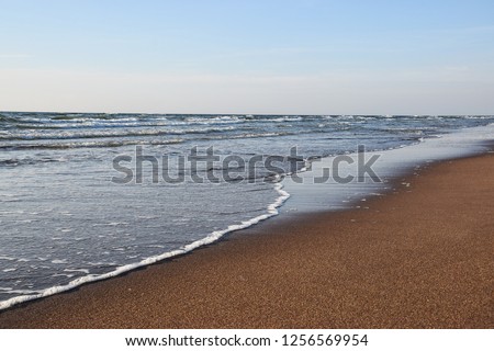 Picture of Baltic wild beach. Taken in Smiltyne, Lithuania in early autumn. 