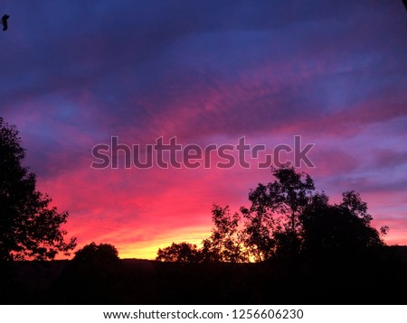 Beautiful and colourful sunset with tree leaves silhouette shadow in new england torrington connecticut united states.