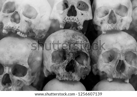 Picture of skulls,