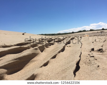 dunes unusual in the ordinary