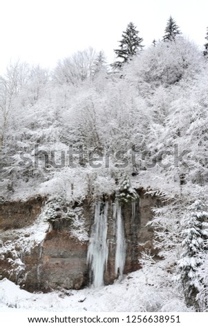 icicles off a cliff in the forest