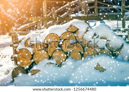Neatly piled stack of chopped dry trunks wood covered with snow outdoors on bright cold winter sunny day, big snowflakes abstract background, Fire wood logs prepared for winter, ready for burning.