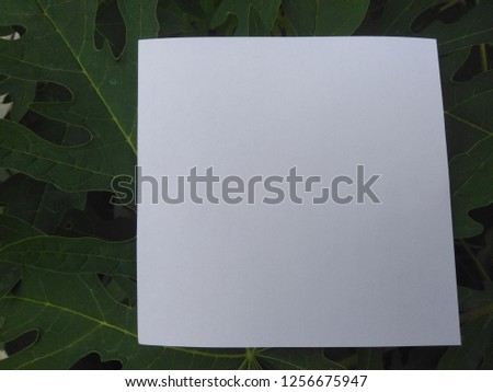 Paper Card Mockup on a Green Leaves, paper card on natural background.