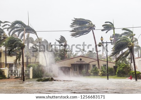A flooded street after catastrophic Hurricane Irma hit Fort Lauderdale, FL. Royalty-Free Stock Photo #1256683171