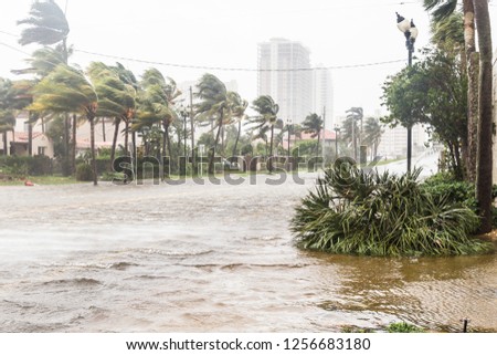 A flooded street after catastrophic Hurricane Irma hit Fort Lauderdale, FL. Royalty-Free Stock Photo #1256683180