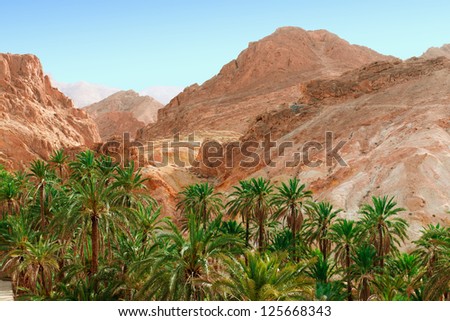 Chebika (Tozeur Governorate) is a mountain oasis in western Tunisia Royalty-Free Stock Photo #125668343
