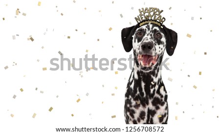 Happy dalmatian dog having fun celebrating New Year's Eve. Room for text in white space with falling confetti Royalty-Free Stock Photo #1256708572