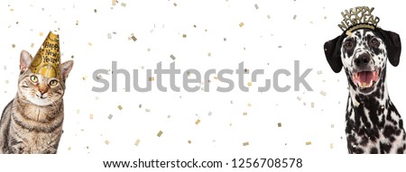 Happy dog and cat together celebrating New Year's Eve wearing party hats with confetti falling. Website header with room for text Royalty-Free Stock Photo #1256708578