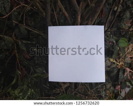 Paper Card Mockup on a Green Leaves, paper card on natural background.