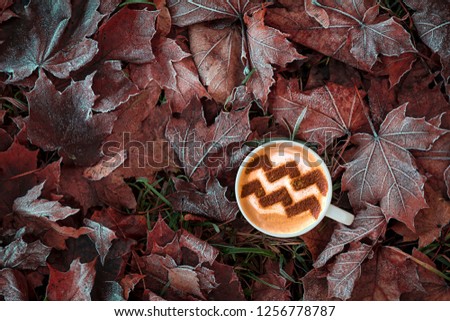 a cup of cappuccino coffee with a pattern of the sign Aquarius of cinnamon on milk foam