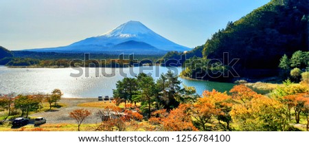 The Exotic beautiful peaceful panorama landscape scene in the morning of Fuji Mountain, the famous landmark of Japan, at Shojiko lake. see the tourist cars,  the tree leaf start to change color to red