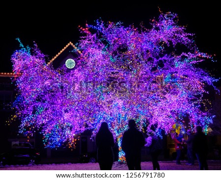 Beautiful night view of people enjoying tree decorated with Christmas lights in park; clock in the background; view from the back