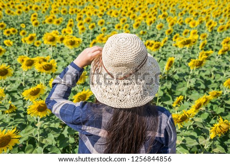 Girl turn back in a blue dress and catch the hat standing in field of sunflowers farm. Happy woman in beauty field with sunflowers. Sunflowers farm and mountains background. Portrait woman fashion.