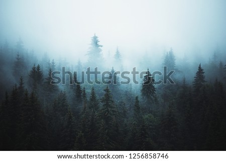 Misty landscape with fir forest in hipster vintage abstract retro style Royalty-Free Stock Photo #1256858746