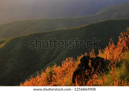  Hill side before sunset Royalty-Free Stock Photo #1256864908