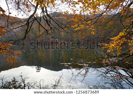 Fall - autumn leaves and reflections of trees on the lake in Yedigöller - Seven Lakes National Park, Bolu, Turkey    