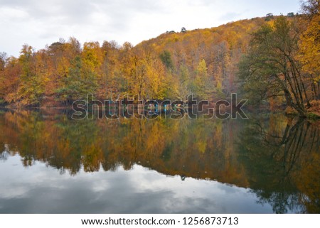 Fall - autumn leaves and reflections of trees on the lake in Yedigöller - Seven Lakes National Park, Bolu, Turkey    