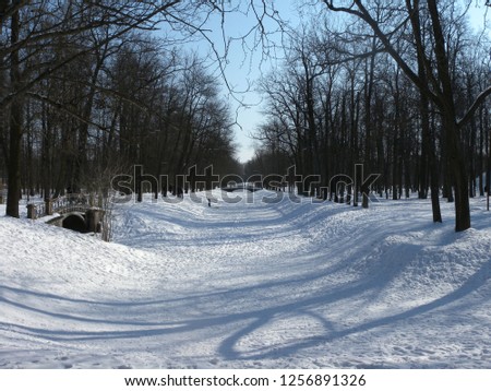Winter in the Alexander Park of Pushkin (Tsarskoe Selo)
