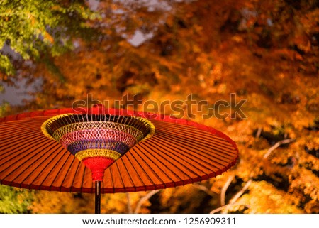 A red umbrella in a lighted-up Japanese garden. Bunkyo, Tokyo, Japan.