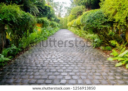 Cobble stone walkway in a beautiful tropical garden