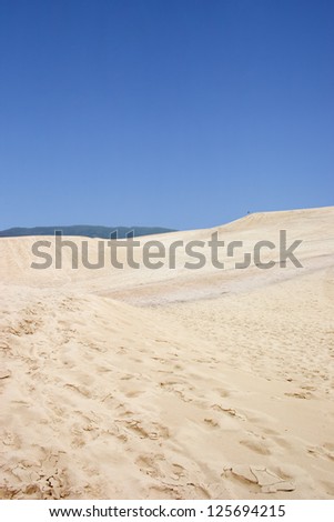 Dunes on Joaquina beach in Florianopolis, Santa Catarina, Brazil