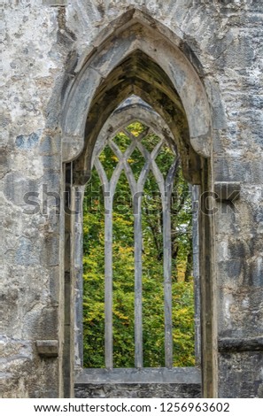 Ruins of the Muckross Abbey, founded in 1448 as a Franciscan friary. Killarney National Park, County Kerry, Ireland. Royalty-Free Stock Photo #1256963602