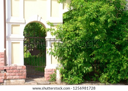 old arched passage in a brick wall among green trees. Soft focus