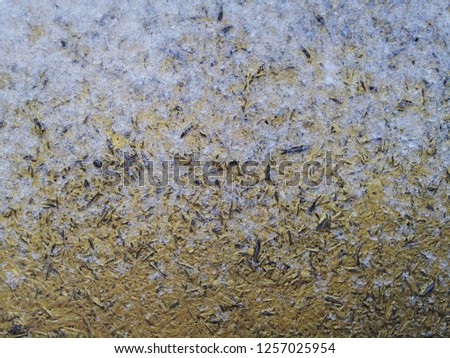 Painted textured wall. Abstract background.