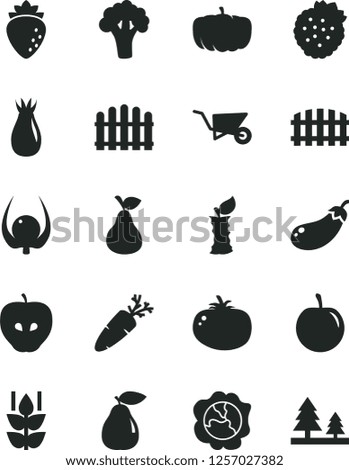 Solid Black Vector Icon Set - building trolley vector, fence, hedge, tomato, carrot, strawberries, pear, mint, squash, tasty apple, raspberry, rose hip, plum, physalis, stub, broccoli, eggplant