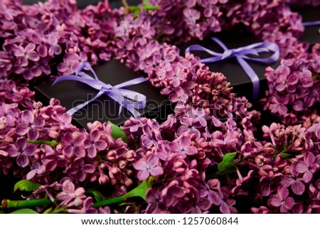 Black small gift boxes wrapped with violet , purple  ribbon decorated with flower natural lilac. Floral decor elements. Copy space. Place for text. 